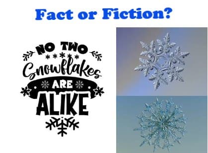 In 1988, scientist Nancy Knight was studying snow samples from a storm in Wausau, Wisconsin. Under a microscope, she found two snowflakes that were virtually identical — both hollow column crystals with matching structures.