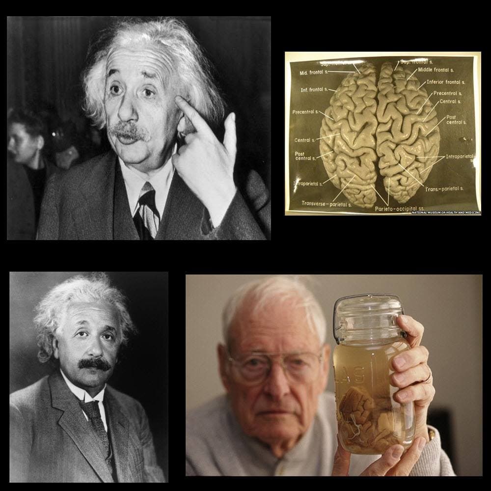 The Pathologist who conducted Albert Einstein's autopsy stole his brain and kept it in a jar for 20 years.