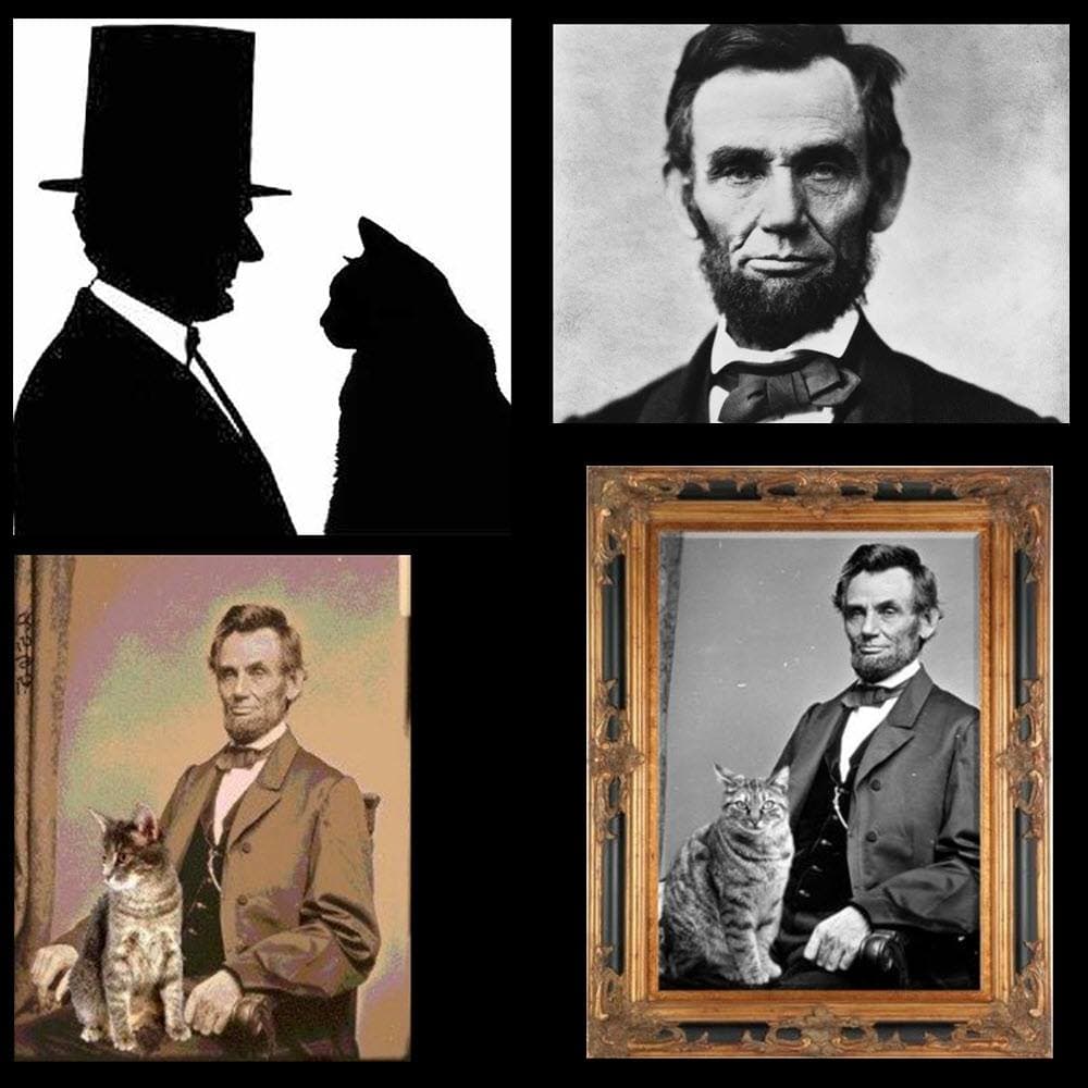 President Abraham Lincoln was a full blown Cat Lover. He kept four cats inside of the White House and could, "play with them for hours at a time". He was also the first President to bring a cat into the White House.