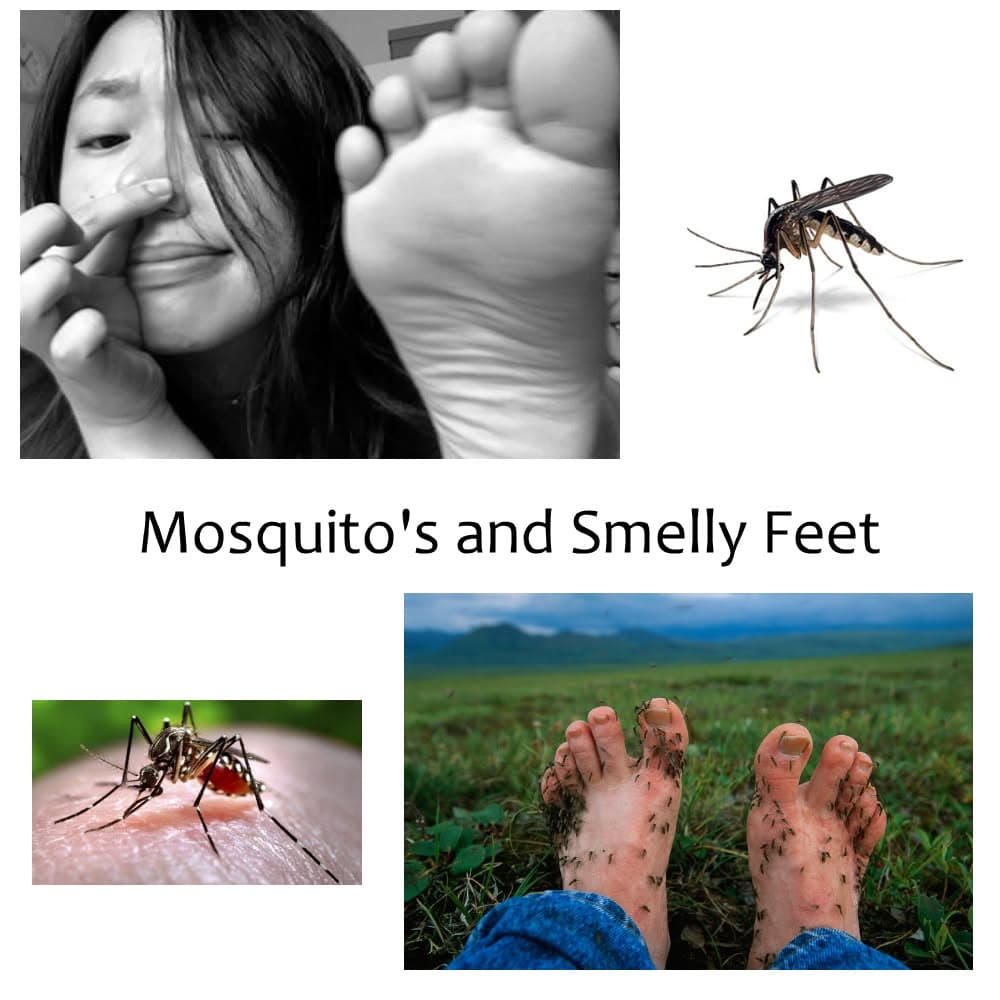 Mosquito's are attracted to smelly feet.